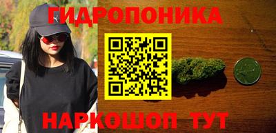 гашик Новокубанск