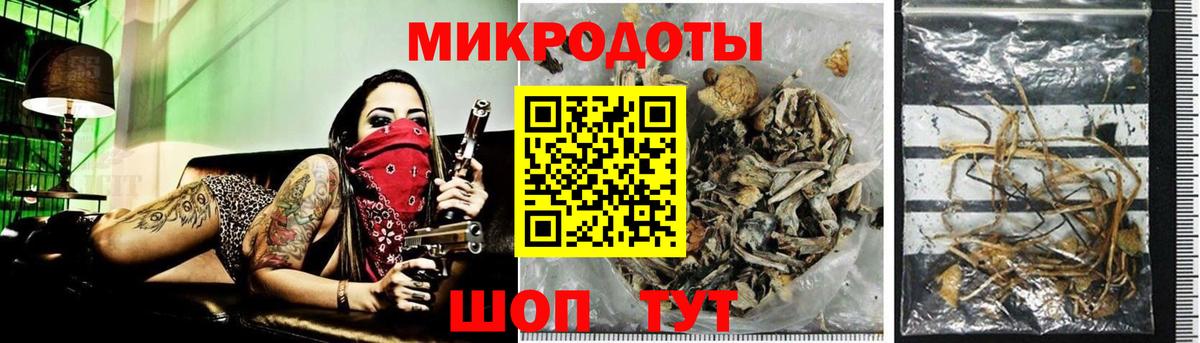 Ступино  как найти наркотики  Вход с VPN  Псилоцибиновые грибы GOLDEN TEACHER 